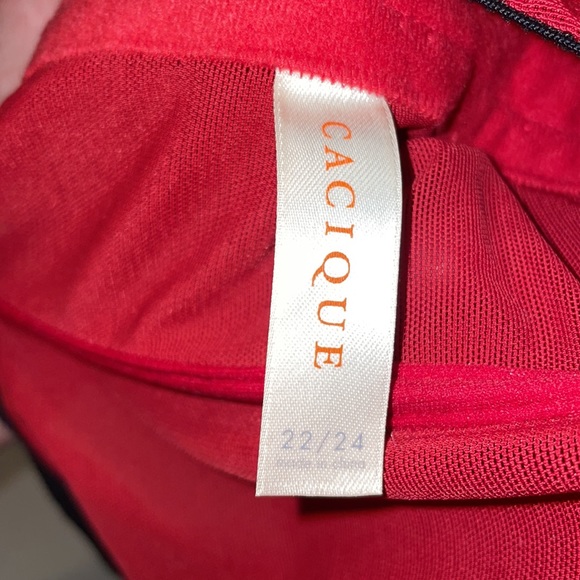 Gorgeous corset worn once, EUC This girl needs to have some FUN! - Picture 8 of 11